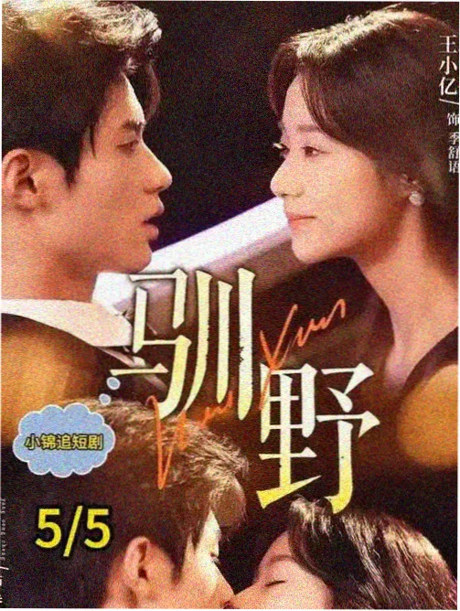 雾港航线剧集封面