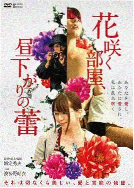 第七次日落电影封面